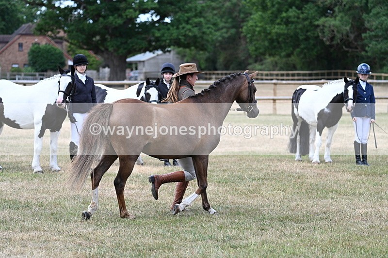 WJ7_1534 - Class 4 Prettiest Mare up to 14.2hh in hand