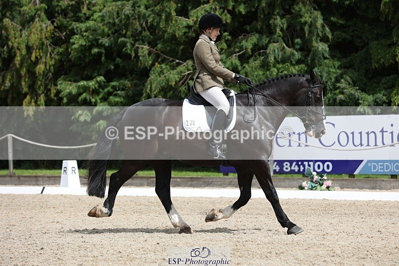 230812-134059-04292 - Cls 5 Novice Bronze 13.40 to 14.45 break