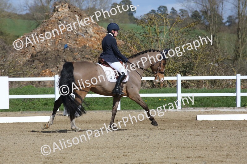 20260314-3989 - CT4 - Novice 1