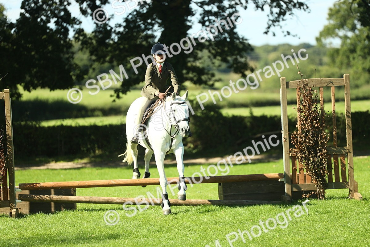 SBM_39129 - S29 - Novice & Newcomers Working Hunter Pony