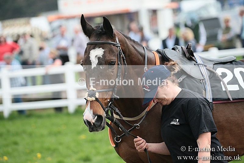 PtP 210418 163 - South & West Wilts Point-to-Point Larkhill 21/04/18