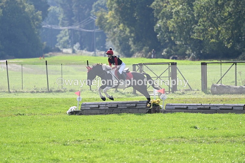 WJ7_4887 - 60cm Time 11:11 to 11:19