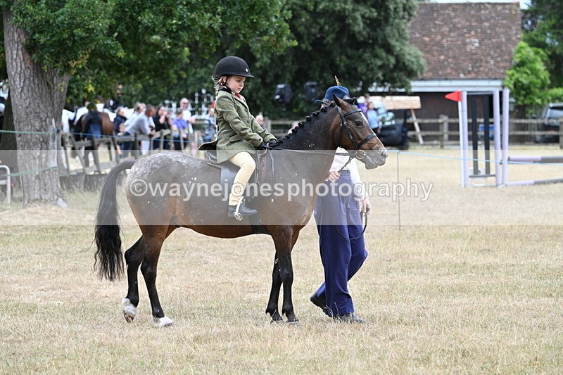 WJ7_0436 - Class 6 Ridden Mountain and Moorland