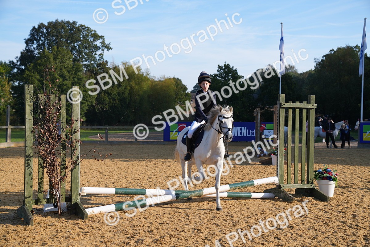 SBM_59017 - J63 - Minis Clear Round 30cm 40cm