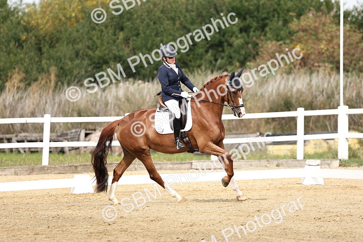 SBM_018234 - Class 16 - Novice 5 - 11.12-12.01