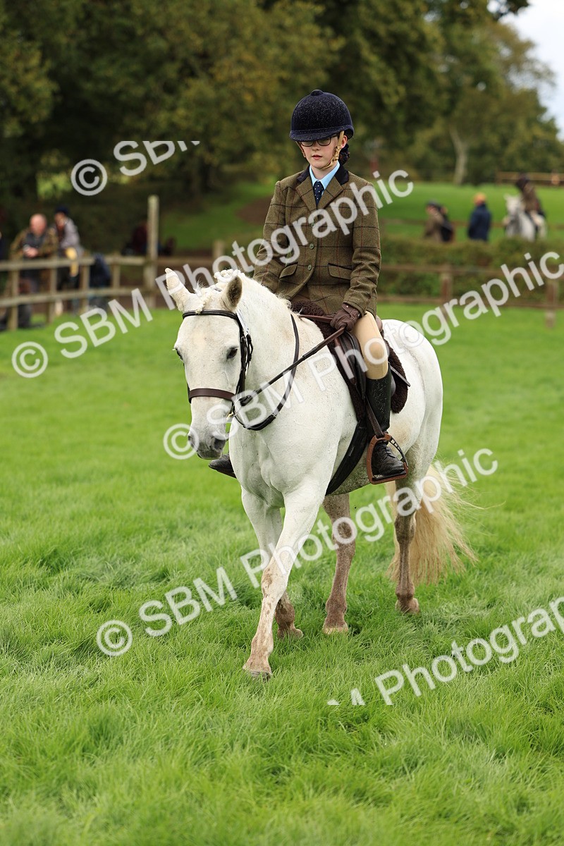 SBM_45355 - S33 - Working Hunter Pony