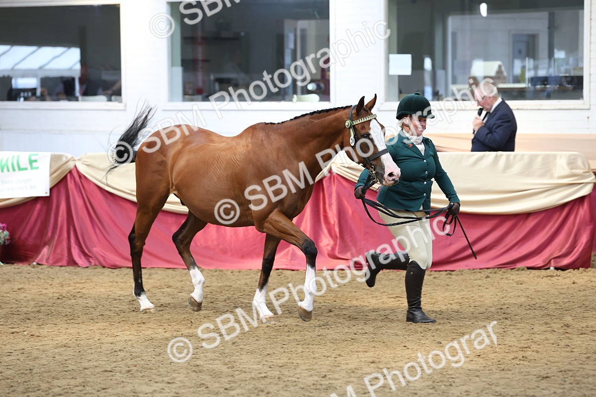 SBM_24097 - Class 905 - Supreme Final - Ridden Veteran