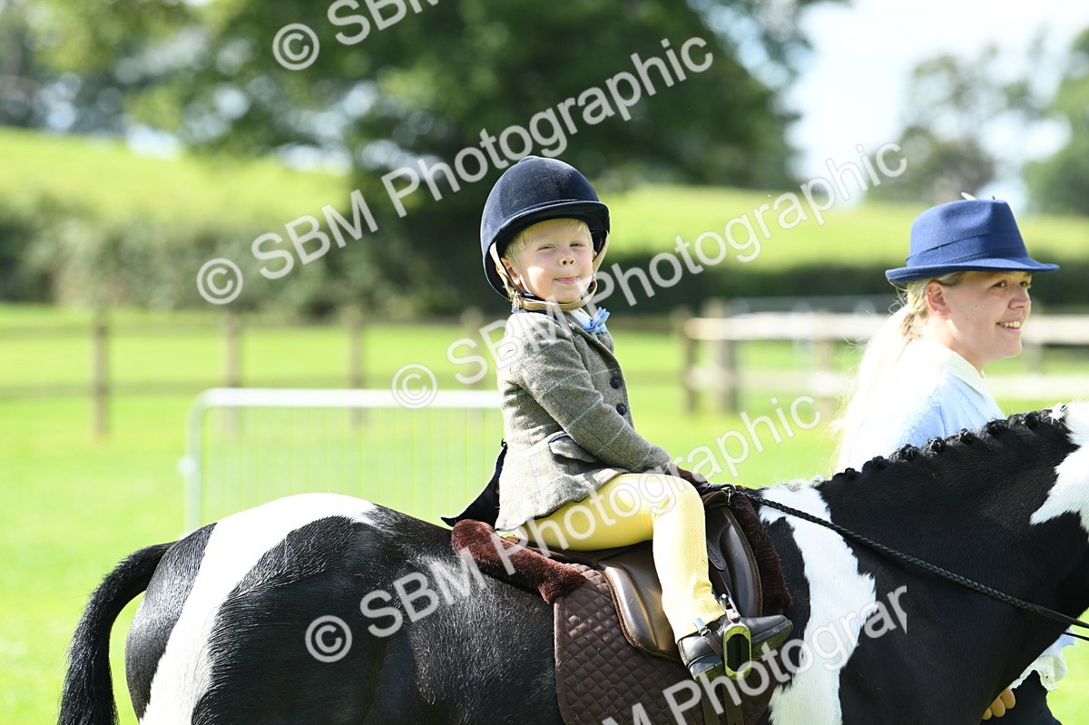 SBM_41134 - S19 - Lead Rein Show & Show Hunter Pony