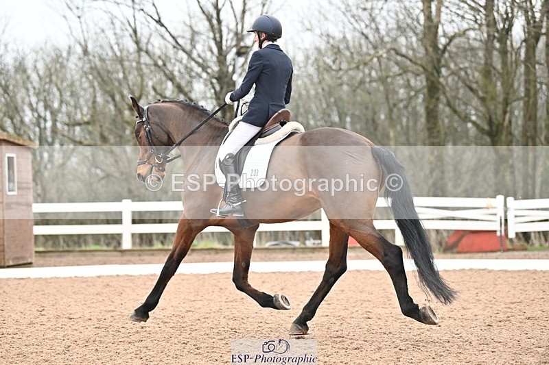 250216-121948-05270 - 209-Anthea.Parkyn-Blue.Hors.Zagato