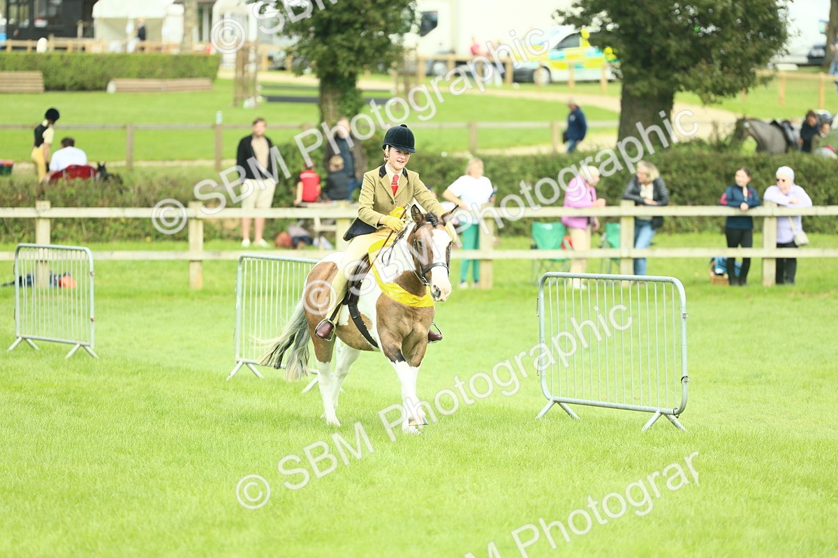 SBM_42246 - S29 - Novice & Newcomers Working Hunter Pony