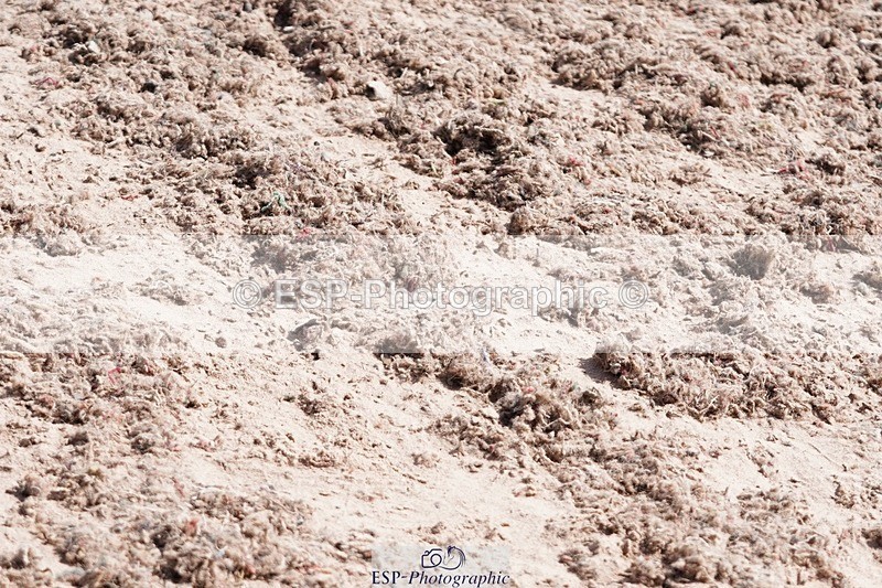 250505-115006-04223 - Cls 18+19 Club and Schools 60cm