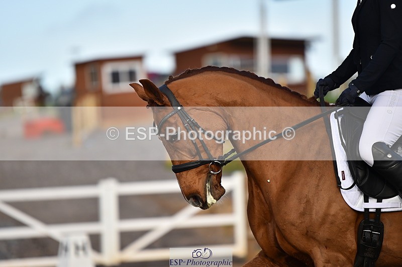 231104A-135322-01947 - Cls 10 Medium 61