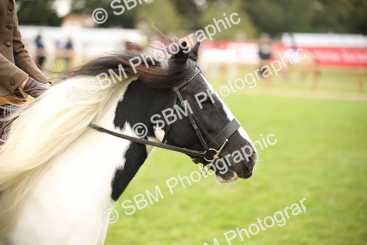 SBM_73546 - S68 - Traditional Cob Ridden