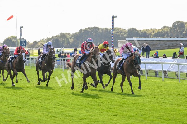 111024-Race 1-Empirestateofmind-1314 - Race 1 1.30pm William Hill Top Price Guarantee Autumn Handicap