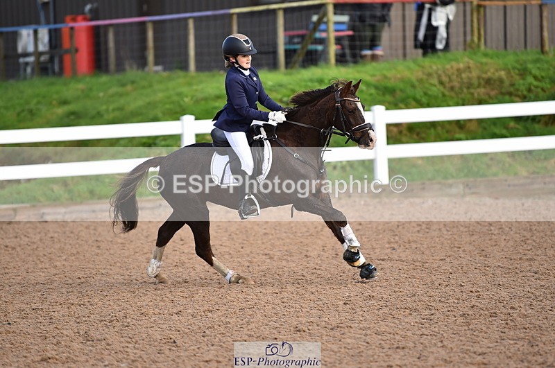 231028A-111116-00725 - Cls 2 British Novice & 80cm Open