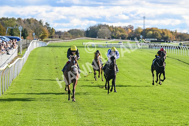 291024-Race 1-Hi Lord-5653 - Race 1