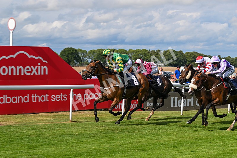 240625-Race 6-Quirke On Parole-9021 - Race 6