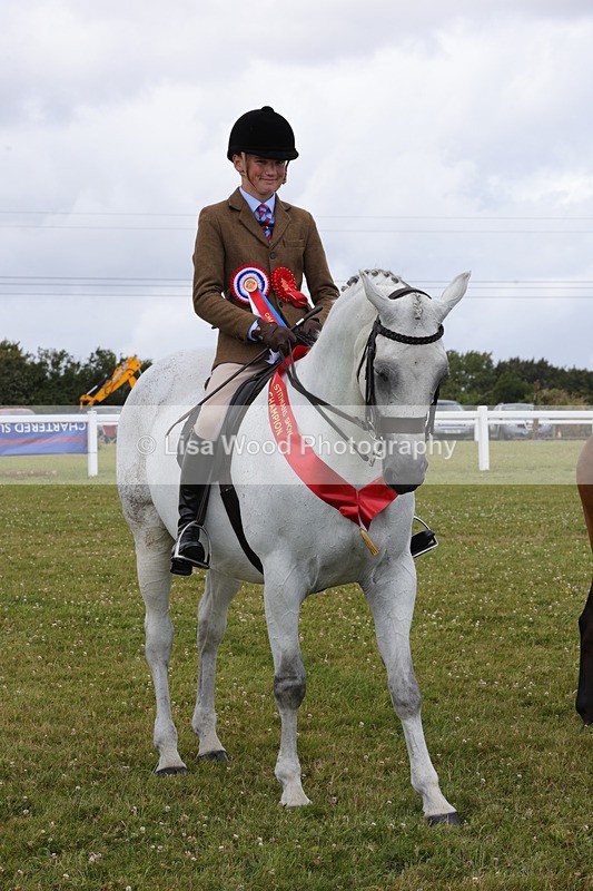 1X9A4246 - Plaited Ridden Championship