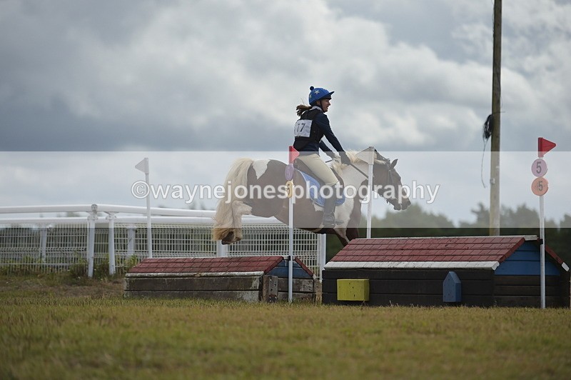 NGP_1341 - XC Time 10:38 to 10:51