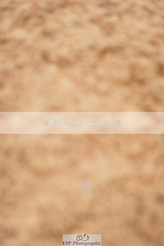 240524A-123202-03545 - Cls 15 Foxhunter