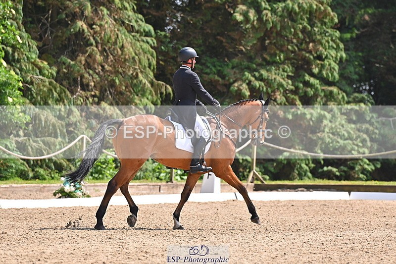 250523A-144248-07340 - B-363-Tom.D.Crisp-BLS.ABSOLUTELY