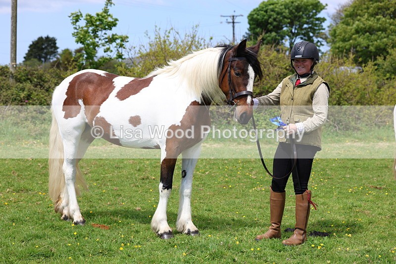 3E7A0420 - Class 19: Best Coloured in Hand