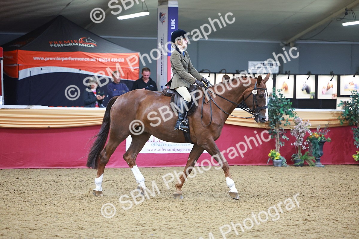 SBM_10653 - Class 103 - HOYS Veteran Qualifier - Ridden Pre Vet