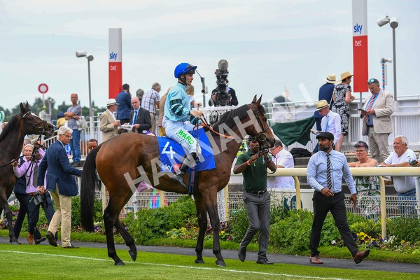 170623-Race 3-Quickthorn-0406 - Race 3 3.05pm Sky Bet Race To The Ebor Grand Cup Stakes