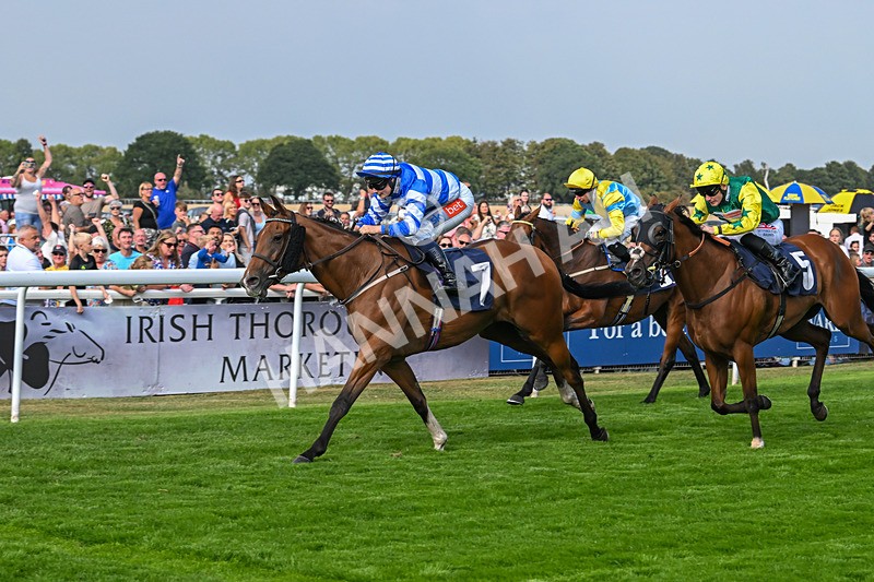 240825-Race 5-This Years Love-3424 - Race 5