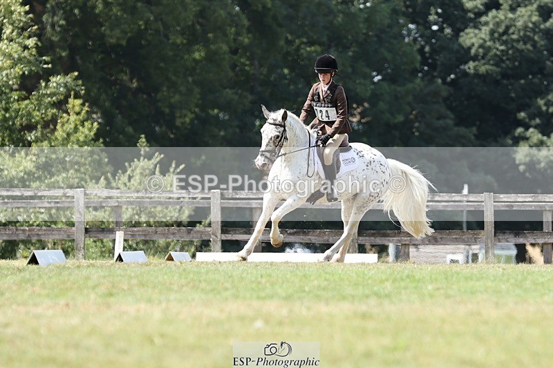 250823A-132023-31289 - Arena D