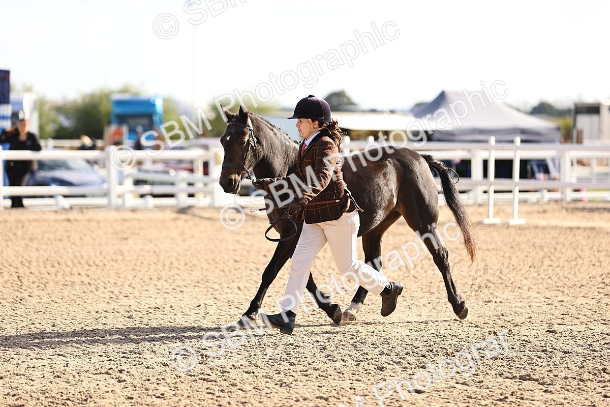 SBM_08526 - Class 402 - IH Veteran Pony