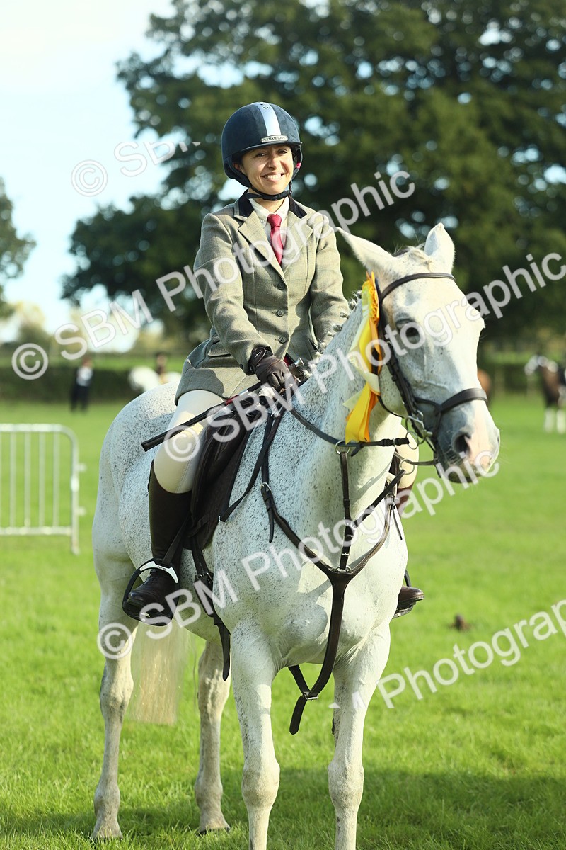 SBM_49925 - S32 - Novice & Newcomers Working Hunter