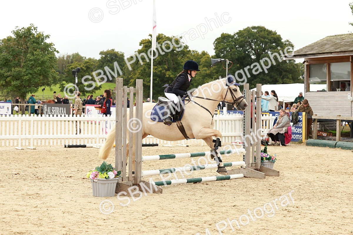SBM_62030 - J12 - Junior Pony 55cm Championship