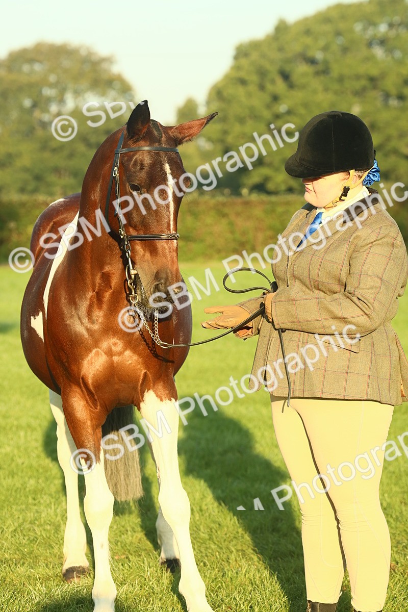 SBM_56541 - S36 - Starters Best Turnout