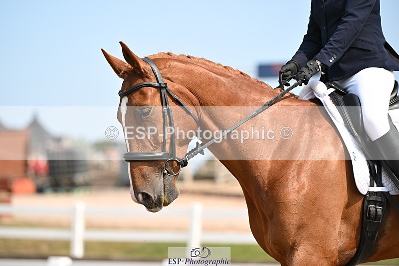 250816-134227-04898 - 080-Elizabeth.StoneZiggy