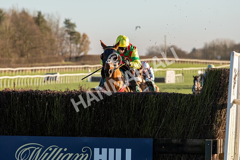 221124-Race 4-Duke Of Luckley--8566 - Race 4