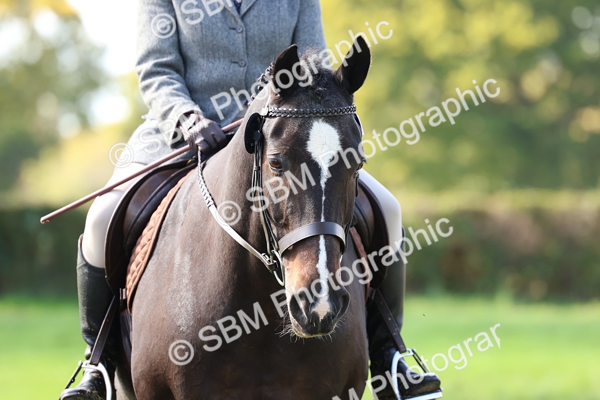 SBM_45312 - S27 - Young Veteran Ridden