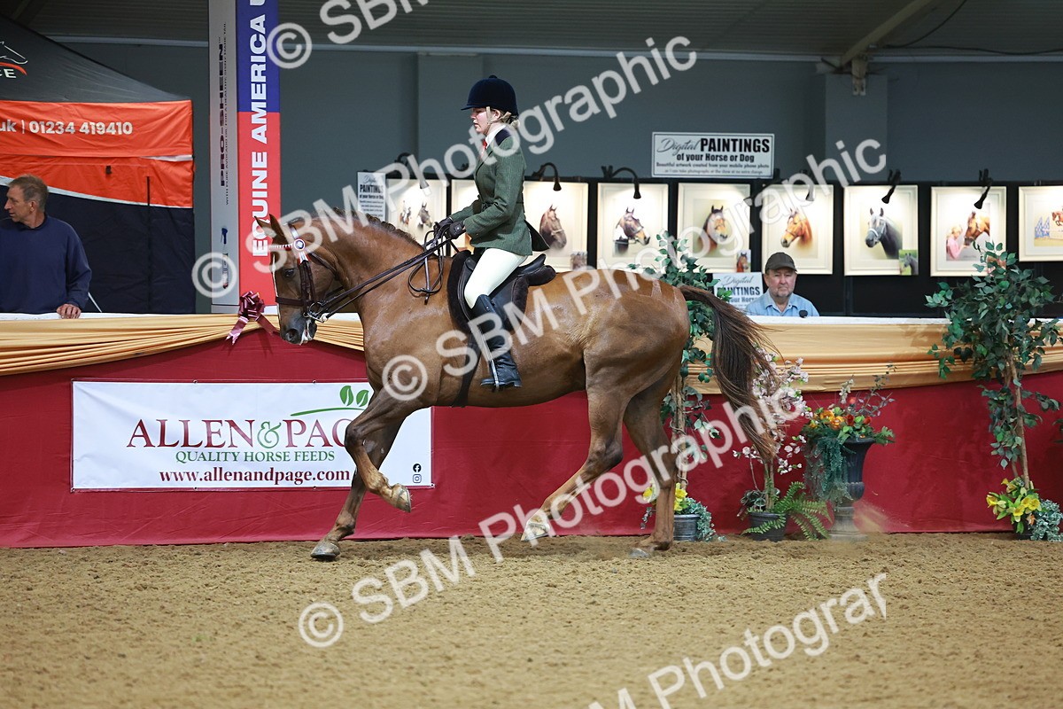 SBM_09777 - Class 102 - HOYS Veteran Qualifier - Ridden Veteran