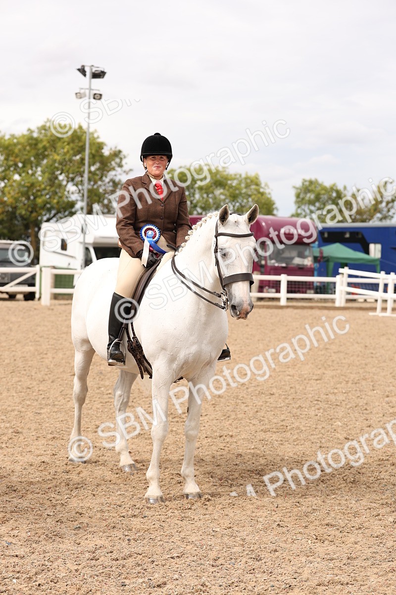 SBM_16529 - Class 212 - Ridden Hunter - Small