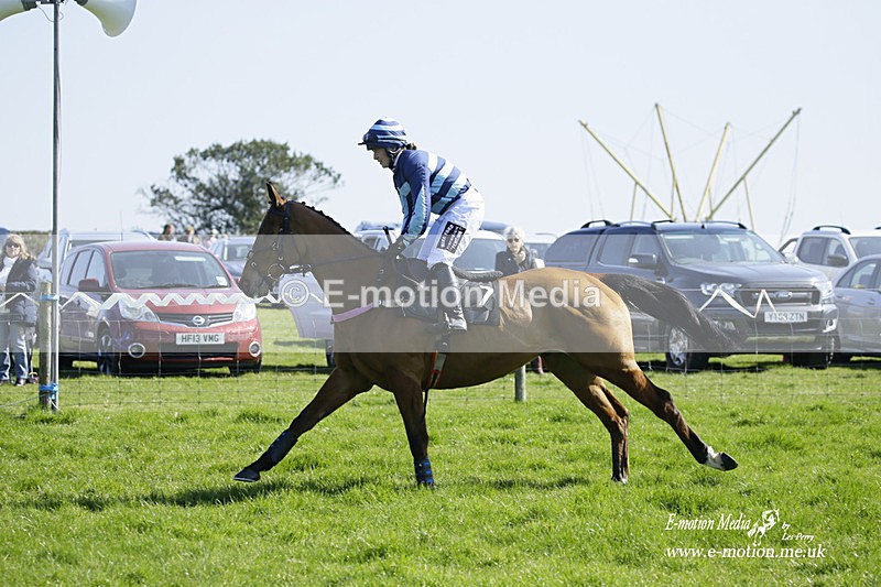 PtP 190322 178 - Wilton Hunt PtP Milborne St Andrew 19/03/22