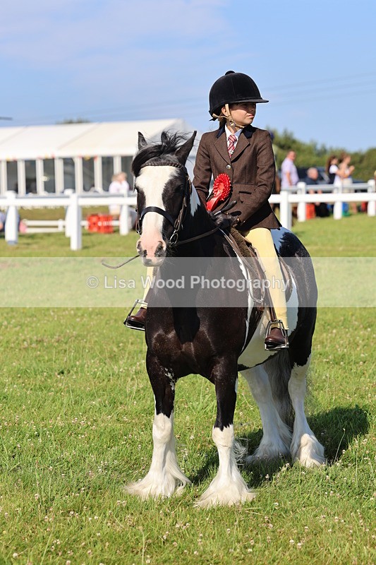 IMG_1600 - Class 30: Ridden Native/Trad Coloured Pony