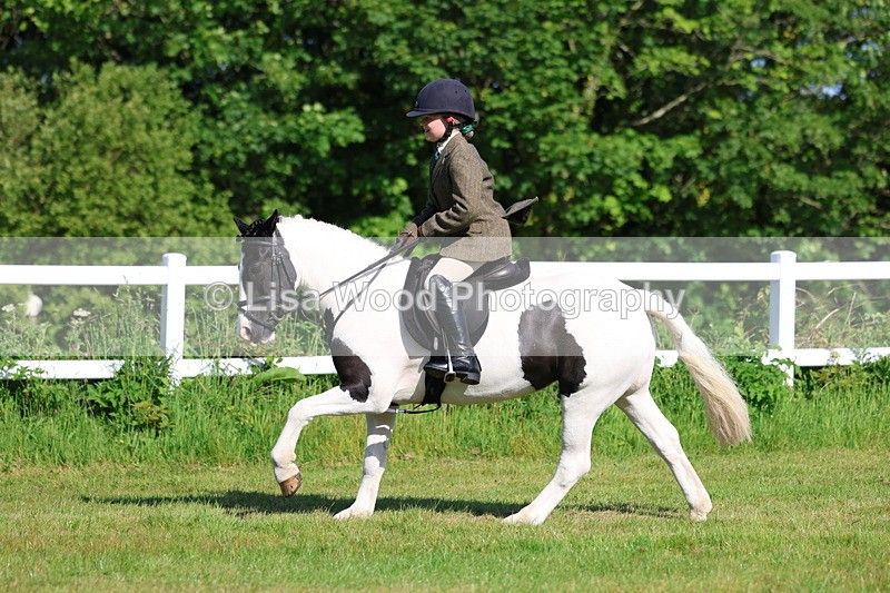 3E7A5997 - Class 27: Novice Working Hunter Pony