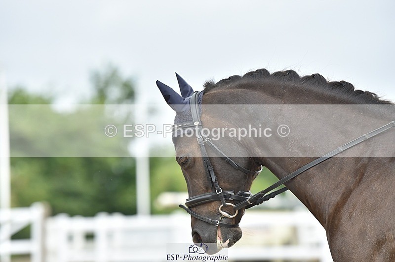 250622-115042-14401 - Quest Cls 25-30 Prelim Tests