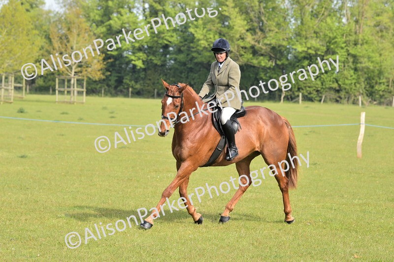 20260426-0900 - Class 18 - Novice Showing