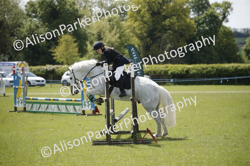 20250427-3747 - Class 14 - Absolute Novice 70cm