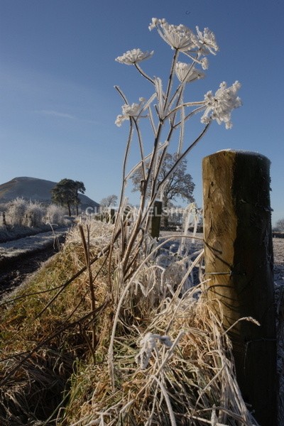 103 - SCOTTISH BORDERS