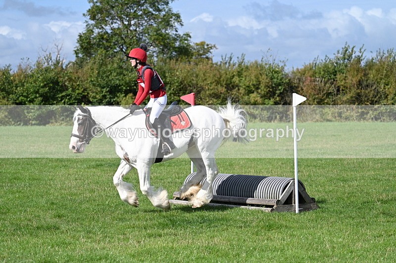 WJ7_8916 - Time 11:10 to 11:53