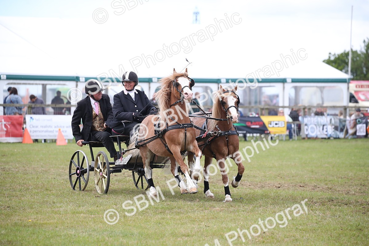 SBM_15491 - Class 90 - Scurry 122cm and Under