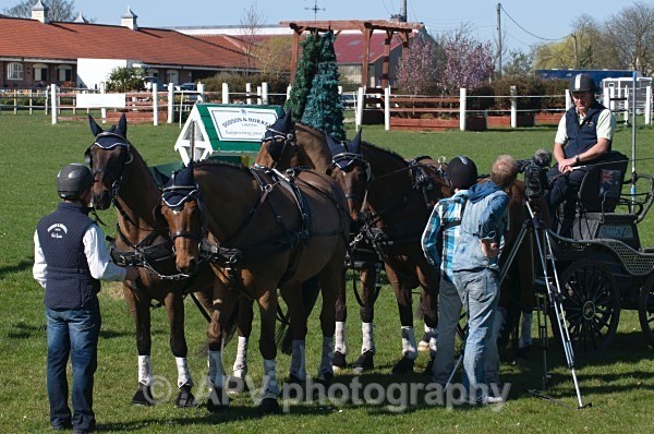 _DSC0298 - Ashfields Carriage & Polo Club