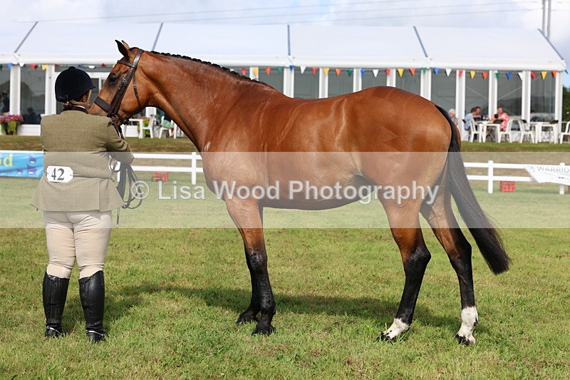 3E7A9517 - Class 4: Rising Star M/H Hunter